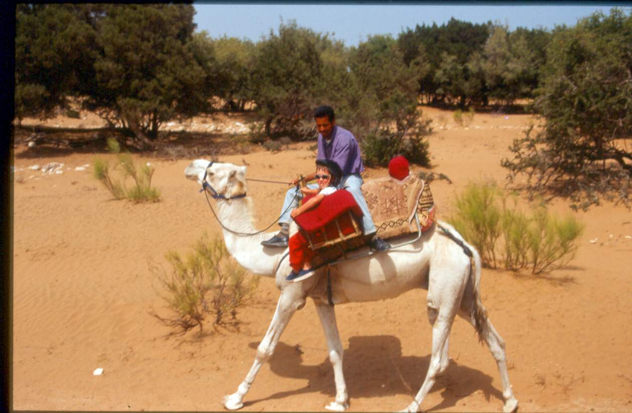 Maison Du Chameau Hotel Essaouira Riad Essaouira :  services enfants